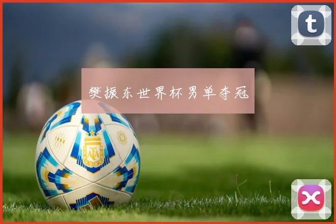 樊振东世界杯男单夺冠