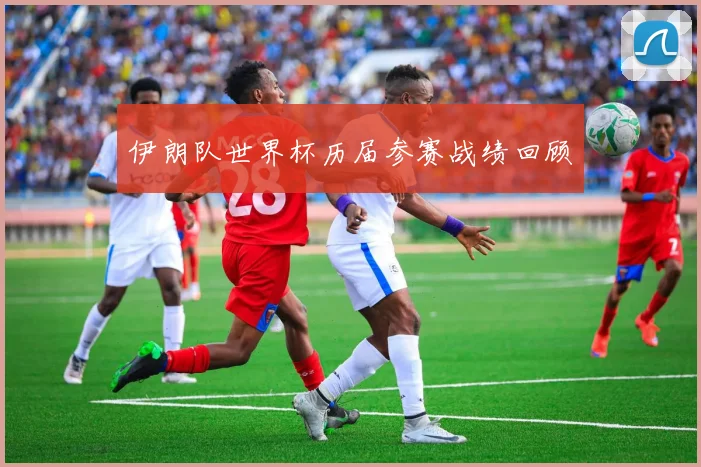 伊朗队世界杯历届参赛战绩回顾