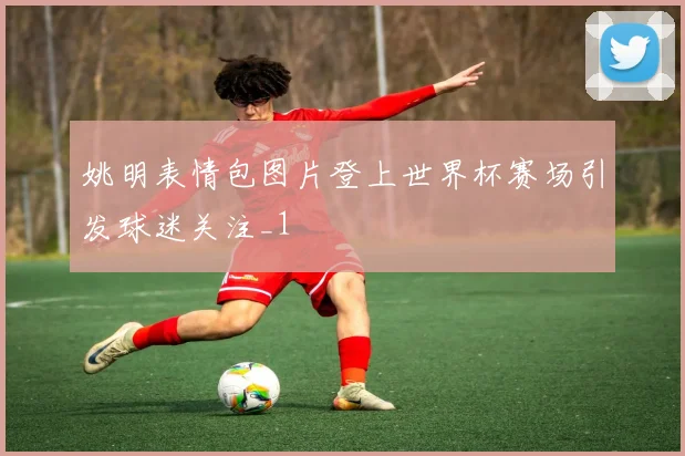 姚明表情包图片登上世界杯赛场引发球迷关注_1