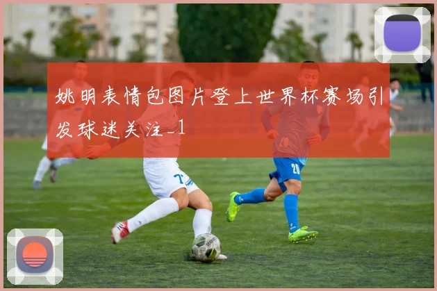 姚明表情包图片登上世界杯赛场引发球迷关注_1